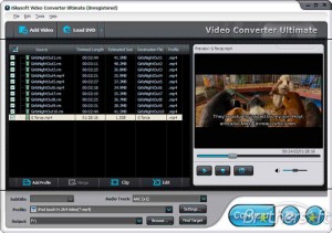 10.iSkysoft Video Converter