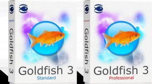 8. Goldfish