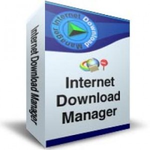 9. Download Manager
