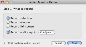 8. Screen Mimic