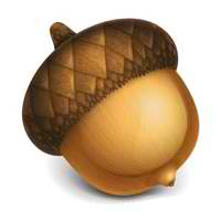 6. Acorn